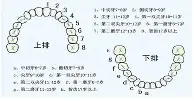巴特勒CBA外援新规结果意外(巴特勒cba外援新规结果意外了吗)